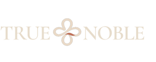 T+N Logo T+N Logo