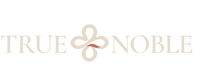 T+N Logo